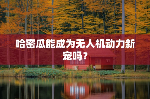 哈密瓜能成为无人机动力新宠吗？