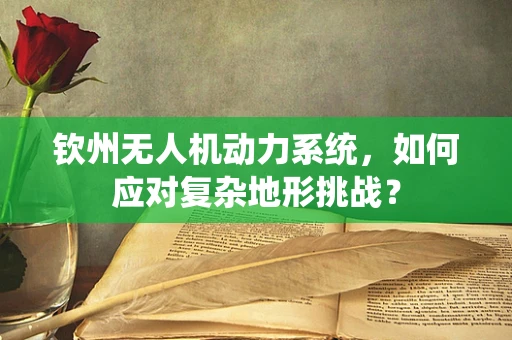 钦州无人机动力系统，如何应对复杂地形挑战？