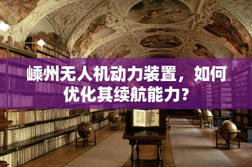嵊州无人机动力装置，如何优化其续航能力？
