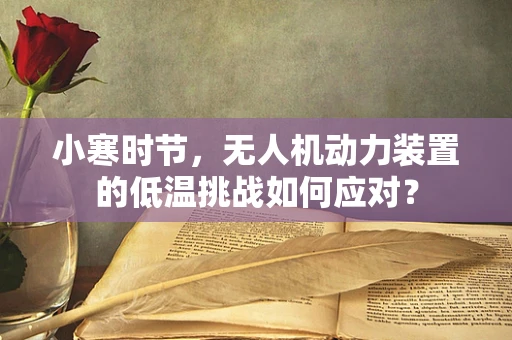 小寒时节，无人机动力装置的低温挑战如何应对？
