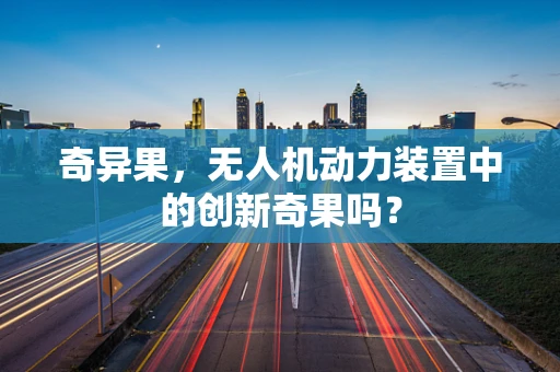 奇异果，无人机动力装置中的创新奇果吗？