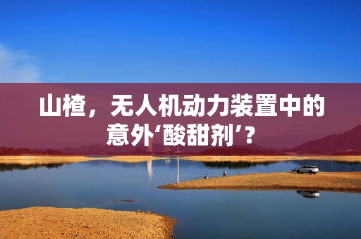 山楂，无人机动力装置中的意外‘酸甜剂’？
