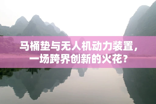 马桶垫与无人机动力装置，一场跨界创新的火花？