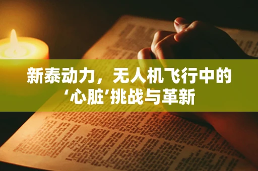 新泰动力，无人机飞行中的‘心脏’挑战与革新