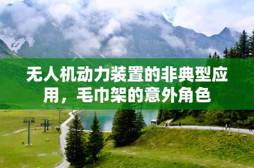 无人机动力装置的非典型应用，毛巾架的意外角色