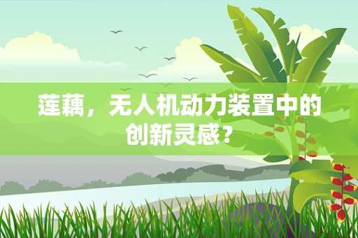 莲藕，无人机动力装置中的创新灵感？