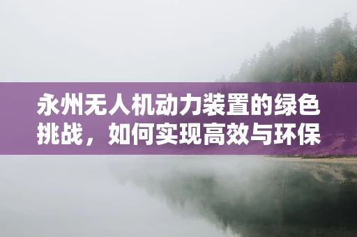 永州无人机动力装置的绿色挑战，如何实现高效与环保的双重飞跃？
