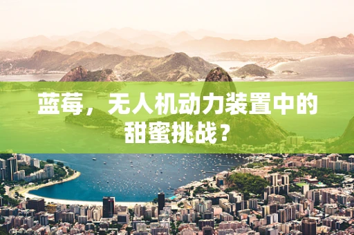 蓝莓，无人机动力装置中的甜蜜挑战？