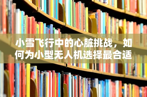 小雪飞行中的心脏挑战，如何为小型无人机选择最合适的动力装置？