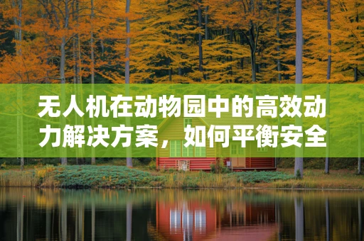 无人机在动物园中的高效动力解决方案，如何平衡安全与环保？