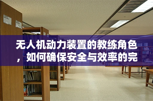 无人机动力装置的教练角色，如何确保安全与效率的完美结合？