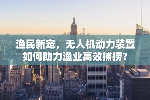 渔民新宠，无人机动力装置如何助力渔业高效捕捞？