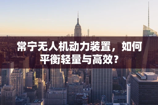 常宁无人机动力装置，如何平衡轻量与高效？