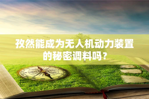 孜然能成为无人机动力装置的秘密调料吗？