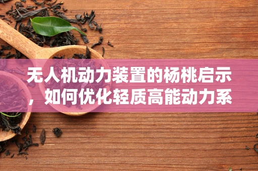 无人机动力装置的杨桃启示，如何优化轻质高能动力系统？