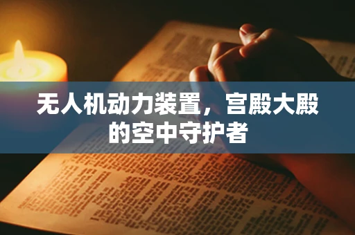无人机动力装置，宫殿大殿的空中守护者