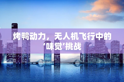 烤鸭动力，无人机飞行中的‘味觉’挑战