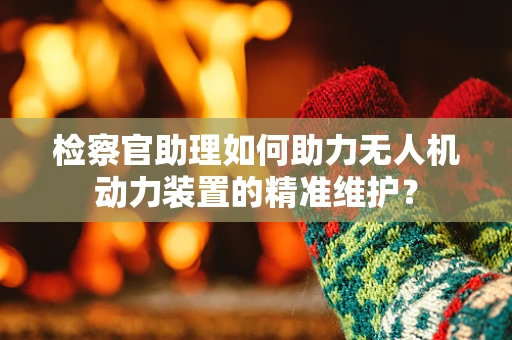检察官助理如何助力无人机动力装置的精准维护？