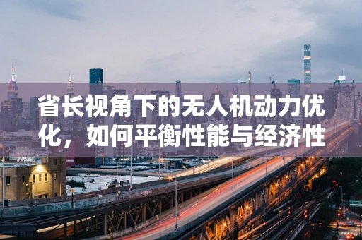 省长视角下的无人机动力优化，如何平衡性能与经济性？