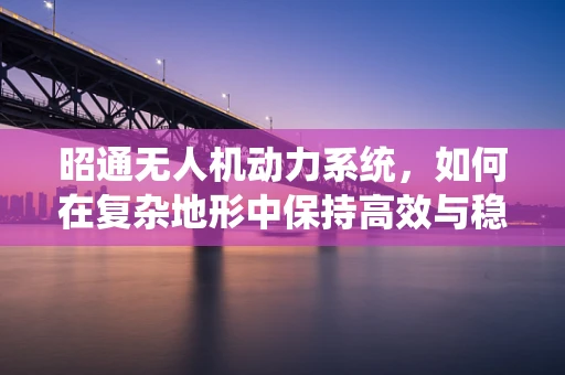 昭通无人机动力系统，如何在复杂地形中保持高效与稳定？