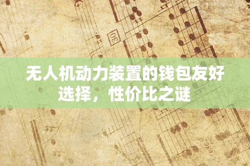 无人机动力装置的钱包友好选择，性价比之谜