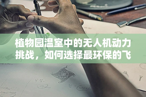 植物园温室中的无人机动力挑战，如何选择最环保的飞行能源？