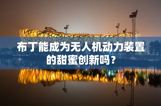布丁能成为无人机动力装置的甜蜜创新吗？