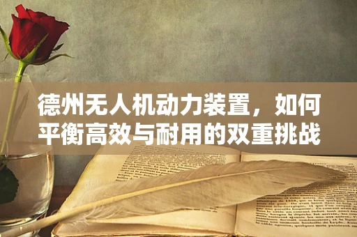 德州无人机动力装置，如何平衡高效与耐用的双重挑战？