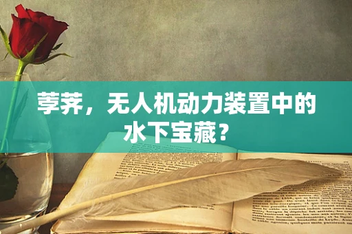 荸荠，无人机动力装置中的水下宝藏？
