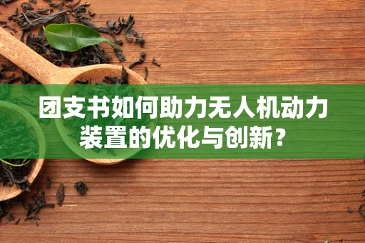 团支书如何助力无人机动力装置的优化与创新？