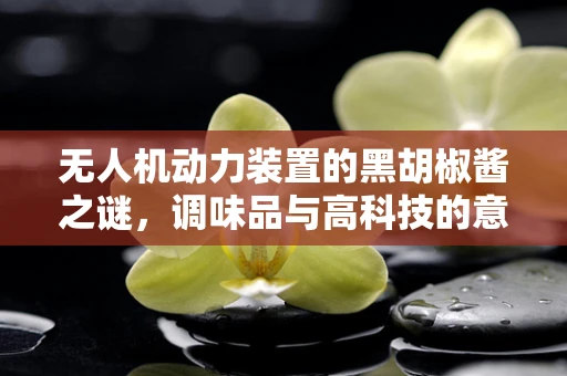 无人机动力装置的黑胡椒酱之谜，调味品与高科技的意外交集？