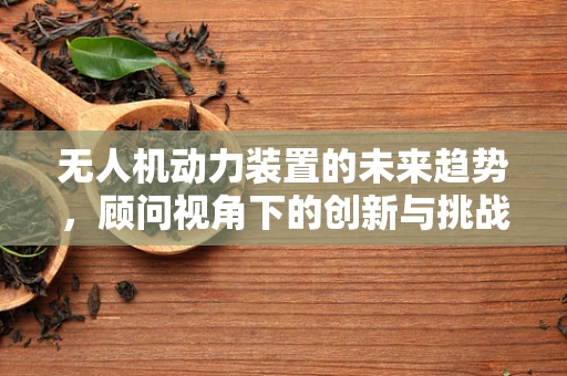 无人机动力装置的未来趋势，顾问视角下的创新与挑战
