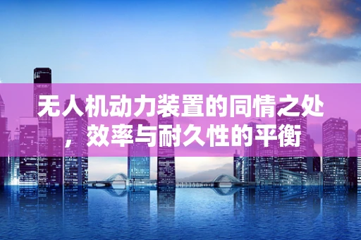 无人机动力装置的同情之处，效率与耐久性的平衡