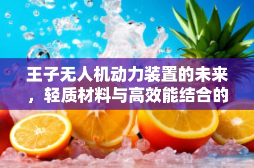 王子无人机动力装置的未来，轻质材料与高效能结合的探索