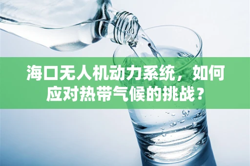 海口无人机动力系统，如何应对热带气候的挑战？