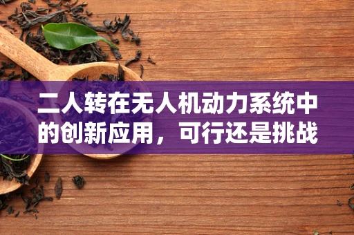 二人转在无人机动力系统中的创新应用，可行还是挑战？