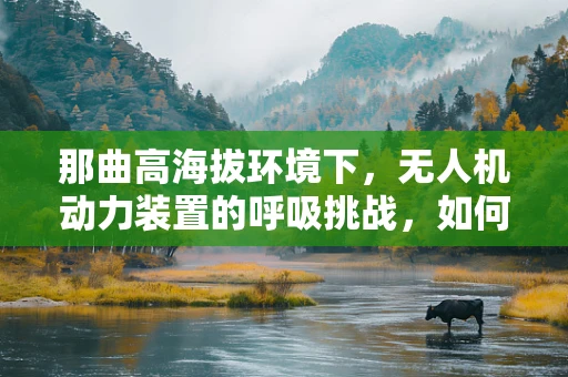 那曲高海拔环境下，无人机动力装置的呼吸挑战，如何高效应对？