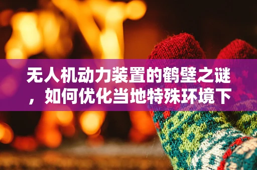 无人机动力装置的鹤壁之谜，如何优化当地特殊环境下的飞行效率？