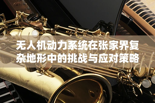 无人机动力系统在张家界复杂地形中的挑战与应对策略