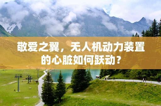 敬爱之翼，无人机动力装置的心脏如何跃动？