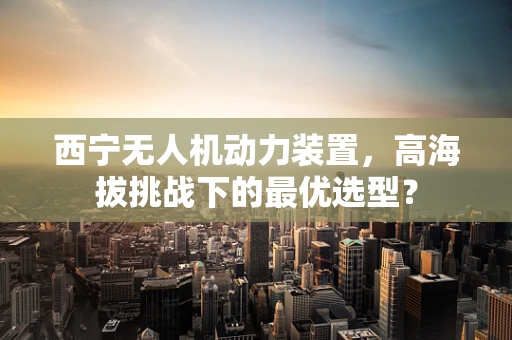 西宁无人机动力装置，高海拔挑战下的最优选型？
