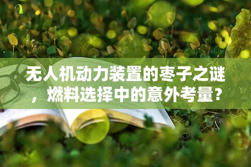 无人机动力装置的枣子之谜，燃料选择中的意外考量？