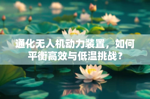 通化无人机动力装置，如何平衡高效与低温挑战？
