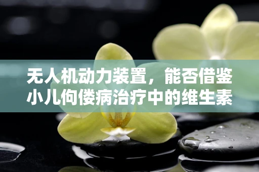 无人机动力装置，能否借鉴小儿佝偻病治疗中的维生素D原理？