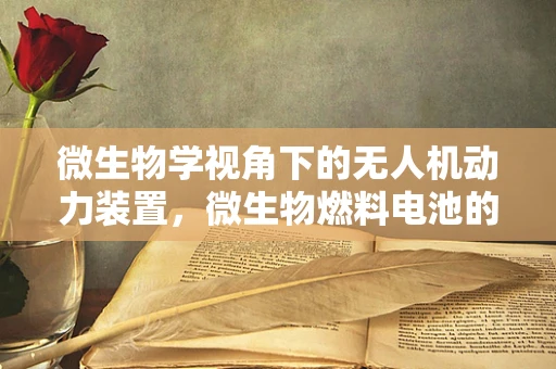 微生物学视角下的无人机动力装置，微生物燃料电池的潜力与挑战
