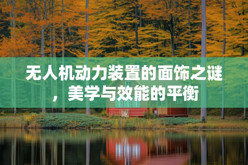 无人机动力装置的面饰之谜，美学与效能的平衡