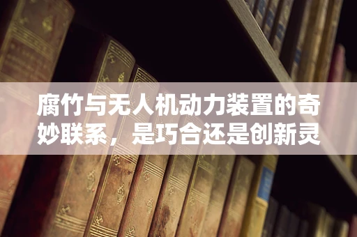 腐竹与无人机动力装置的奇妙联系，是巧合还是创新灵感？