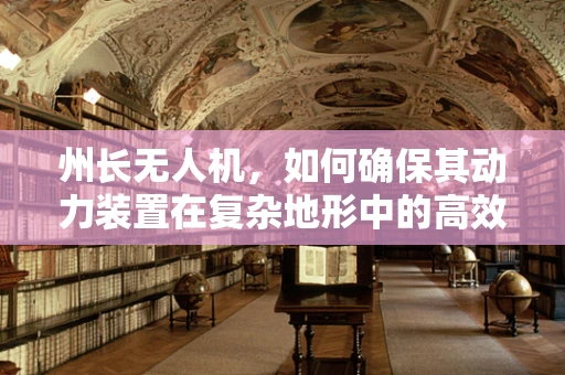 州长无人机，如何确保其动力装置在复杂地形中的高效与安全？