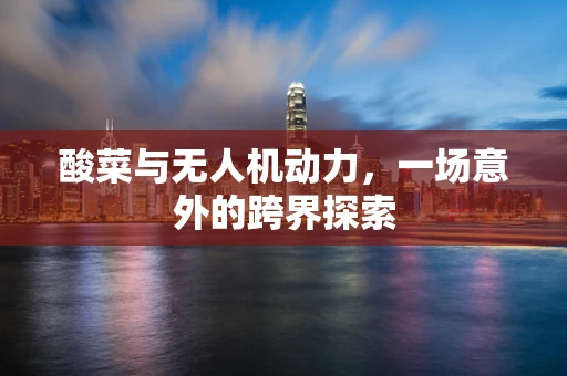 酸菜与无人机动力，一场意外的跨界探索
