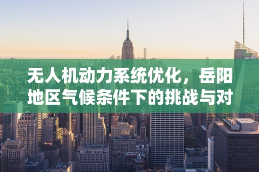 无人机动力系统优化，岳阳地区气候条件下的挑战与对策